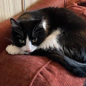 Meet your Posher, Tracy